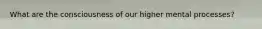 What are the consciousness of our higher mental processes?