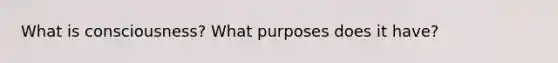 What is consciousness? What purposes does it have?