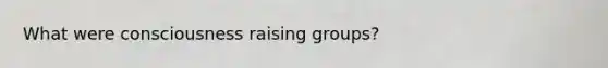What were consciousness raising groups?