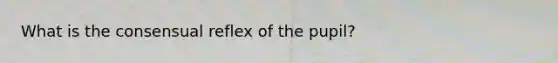 What is the consensual reflex of the pupil?