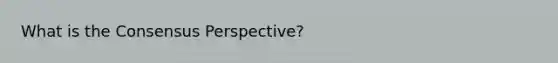 What is the Consensus Perspective?