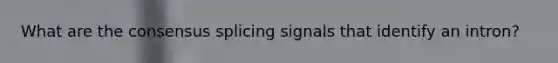 What are the consensus splicing signals that identify an intron?