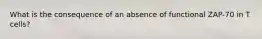 What is the consequence of an absence of functional ZAP-70 in T cells?