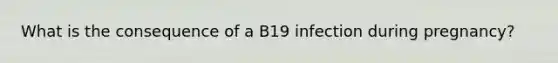 What is the consequence of a B19 infection during pregnancy?