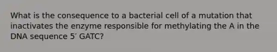 What is the consequence to a bacterial cell of a mutation that inactivates the enzyme responsible for methylating the A in the DNA sequence 5′ GATC?