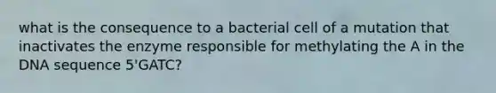 what is the consequence to a bacterial cell of a mutation that inactivates the enzyme responsible for methylating the A in the DNA sequence 5'GATC?