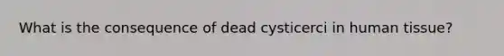 What is the consequence of dead cysticerci in human tissue?