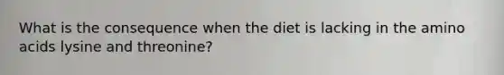 What is the consequence when the diet is lacking in the amino acids lysine and threonine?