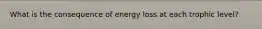 What is the consequence of energy loss at each trophic level?