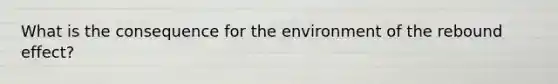 What is the consequence for the environment of the rebound effect?