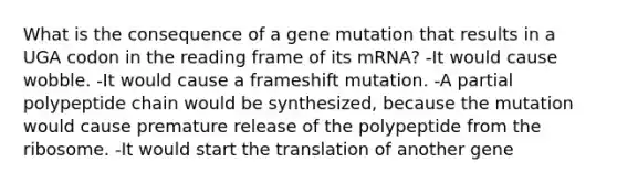 What is the consequence of a gene mutation that results in a UGA codon in the reading frame of its mRNA? -It would cause wobble. -It would cause a frameshift mutation. -A partial polypeptide chain would be synthesized, because the mutation would cause premature release of the polypeptide from the ribosome. -It would start the translation of another gene