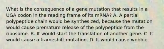 What is the consequence of a gene mutation that results in a UGA codon in the reading frame of its mRNA? A. A partial polypeptide chain would be synthesized, because the mutation would cause premature release of the polypeptide from the ribosome. B. It would start the translation of another gene. C. It would cause a frameshift mutation. D. It would cause wobble.