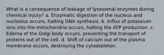 What is a consequence of leakage of lysosomal enzymes during chemical injury? a. Enzymatic digestion of the nucleus and nucleolus occurs, halting DNA synthesis. b. Influx of potassium ions into the mitochondria occurs, halting the ATP production. c. Edema of the Golgi body occurs, preventing the transport of proteins out of the cell. d. Shift of calcium out of the plasma membrane occurs, destroying the cytoskeleton.