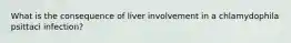 What is the consequence of liver involvement in a chlamydophila psittaci infection?