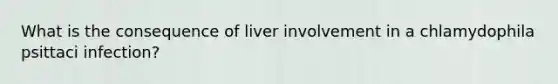 What is the consequence of liver involvement in a chlamydophila psittaci infection?