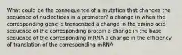 What could be the consequence of a mutation that changes the sequence of nucleotides in a promoter? a change in when the corresponding gene is transcribed a change in the amino acid sequence of the corresponding protein a change in the base sequence of the corresponding mRNA a change in the efficiency of translation of the corresponding mRNA