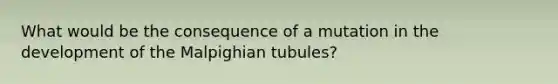 What would be the consequence of a mutation in the development of the Malpighian tubules?