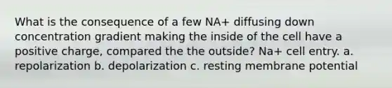 What is the consequence of a few NA+ diffusing down concentration gradient making the inside of the cell have a positive charge, compared the the outside? Na+ cell entry. a. repolarization b. depolarization c. resting membrane potential