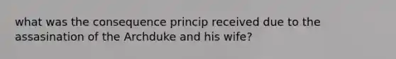 what was the consequence princip received due to the assasination of the Archduke and his wife?