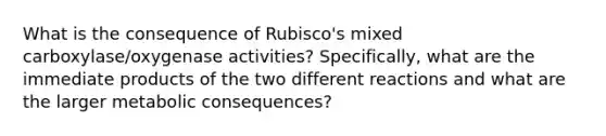 What is the consequence of Rubisco's mixed carboxylase/oxygenase activities? Specifically, what are the immediate products of the two different reactions and what are the larger metabolic consequences?