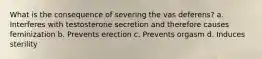 What is the consequence of severing the vas deferens? a. Interferes with testosterone secretion and therefore causes feminization b. Prevents erection c. Prevents orgasm d. Induces sterility