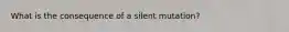 What is the consequence of a silent mutation?