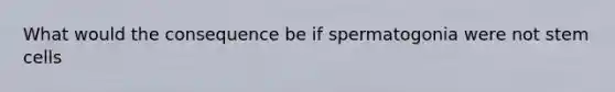 What would the consequence be if spermatogonia were not stem cells