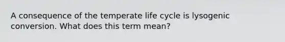 A consequence of the temperate life cycle is lysogenic conversion. What does this term mean?