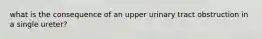 what is the consequence of an upper urinary tract obstruction in a single ureter?