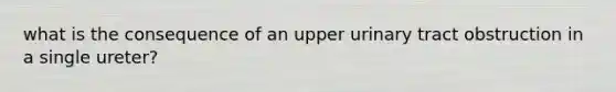 what is the consequence of an upper urinary tract obstruction in a single ureter?