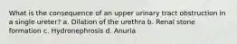 What is the consequence of an upper urinary tract obstruction in a single ureter? a. Dilation of the urethra b. Renal stone formation c. Hydronephrosis d. Anuria