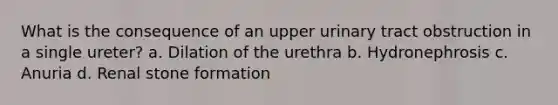 What is the consequence of an upper urinary tract obstruction in a single ureter? a. Dilation of the urethra b. Hydronephrosis c. Anuria d. Renal stone formation