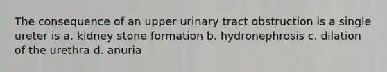 The consequence of an upper urinary tract obstruction is a single ureter is a. kidney stone formation b. hydronephrosis c. dilation of the urethra d. anuria