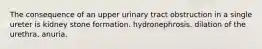 The consequence of an upper urinary tract obstruction in a single ureter is kidney stone formation. hydronephrosis. dilation of the urethra. anuria.