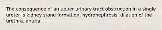 The consequence of an upper urinary tract obstruction in a single ureter is kidney stone formation. hydronephrosis. dilation of the urethra. anuria.