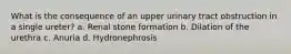 What is the consequence of an upper urinary tract obstruction in a single ureter? a. Renal stone formation b. Dilation of the urethra c. Anuria d. Hydronephrosis