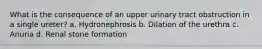 What is the consequence of an upper urinary tract obstruction in a single ureter? a. Hydronephrosis b. Dilation of the urethra c. Anuria d. Renal stone formation