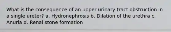 What is the consequence of an upper urinary tract obstruction in a single ureter? a. Hydronephrosis b. Dilation of the urethra c. Anuria d. Renal stone formation