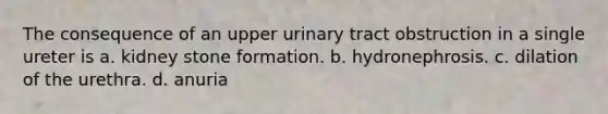 The consequence of an upper urinary tract obstruction in a single ureter is a. kidney stone formation. b. hydronephrosis. c. dilation of the urethra. d. anuria