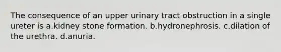 The consequence of an upper urinary tract obstruction in a single ureter is a.kidney stone formation. b.hydronephrosis. c.dilation of the urethra. d.anuria.