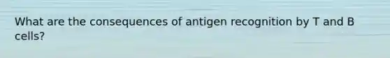 What are the consequences of antigen recognition by T and B cells?