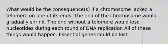 What would be the consequence(s) if a chromosome lacked a telomere on one of its ends. The end of the chromosome would gradually shrink. The end without a telomere would lose nucleotides during each round of DNA replication All of these things would happen. Essential genes could be lost.