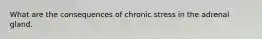 What are the consequences of chronic stress in the adrenal gland.