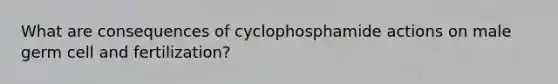 What are consequences of cyclophosphamide actions on male germ cell and fertilization?