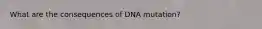 What are the consequences of DNA mutation?