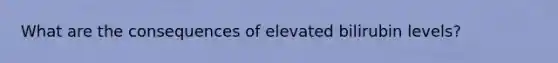 What are the consequences of elevated bilirubin levels?