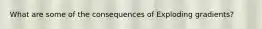 What are some of the consequences of Exploding gradients?