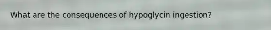 What are the consequences of hypoglycin ingestion?