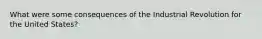 What were some consequences of the Industrial Revolution for the United States?