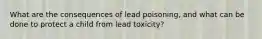 What are the consequences of lead poisoning, and what can be done to protect a child from lead toxicity?